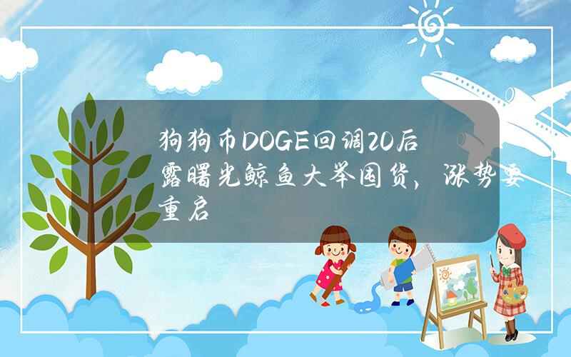 狗狗币（DOGE）回调 20% 后露曙光鲸鱼大举囤货，涨势要重启？