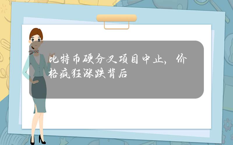 比特币硬分叉项目中止，价格疯狂涨跌背后