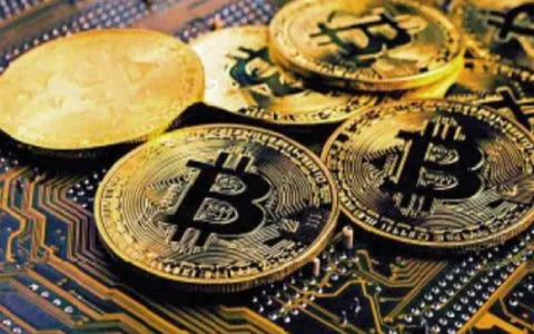 宝贝狗有万倍潜力吗 宝贝狗币值得投资吗